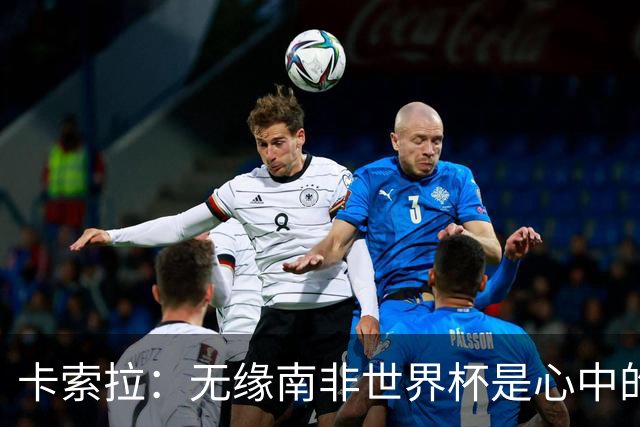 卡索拉：无缘南非世界杯是心中的刺
